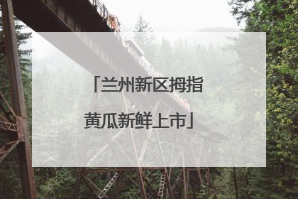 兰州新区拇指黄瓜新鲜上市