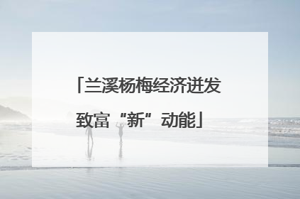 兰溪杨梅经济迸发致富“新”动能
