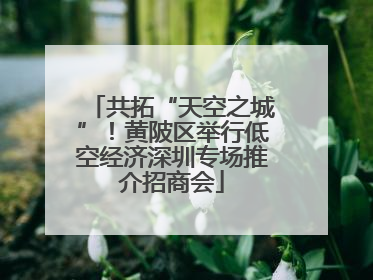 共拓“天空之城”！黄陂区举行低空经济深圳专场推介招商会