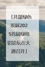 共谋绿色发展2025首届绿电铝论坛在大通召开