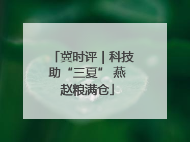 冀时评｜科技助“三夏” 燕赵粮满仓