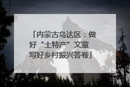 内蒙古乌达区：做好“土特产”文章 写好乡村振兴答卷