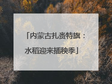 内蒙古扎赉特旗：水稻迎来插秧季