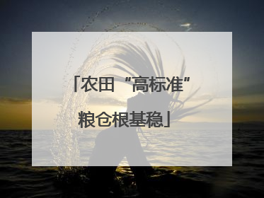 农田“高标准” 粮仓根基稳