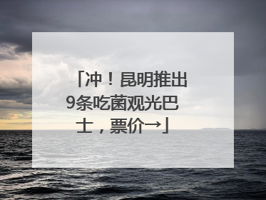 冲！昆明推出9条吃菌观光巴士，票价→