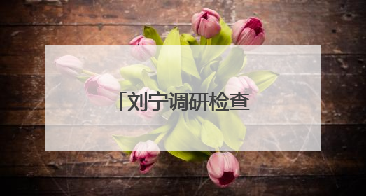 刘宁调研检查高考准备工作