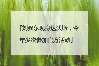 刘强东现身达沃斯，今年多次参加官方活动