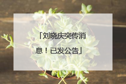 刘晓庆突传消息！已发公告
