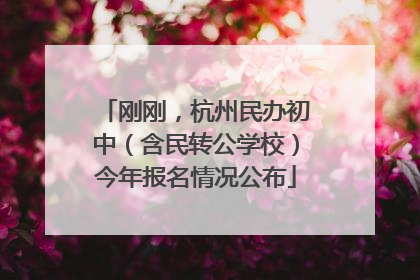 刚刚，杭州民办初中（含民转公学校）今年报名情况公布