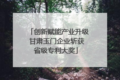 创新赋能产业升级 甘肃玉门企业斩获省级专利大奖