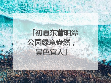 初夏东营明潭公园绿意盎然，景色宜人