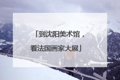 到沈阳美术馆，看法国画家大展