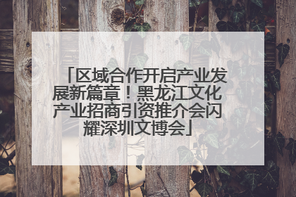 区域合作开启产业发展新篇章！黑龙江文化产业招商引资推介会闪耀深圳文博会