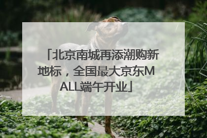 北京南城再添潮购新地标，全国最大京东MALL端午开业