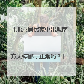 北京居民家中出现南方大蟑螂，正常吗？