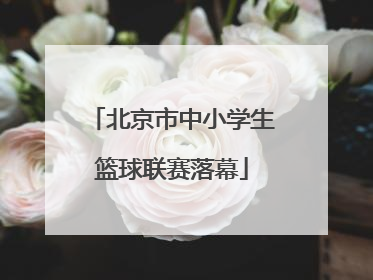 北京市中小学生篮球联赛落幕