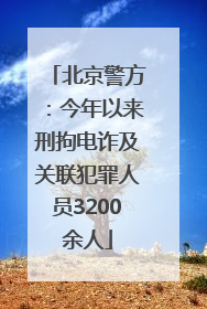 北京警方：今年以来刑拘电诈及关联犯罪人员3200余人