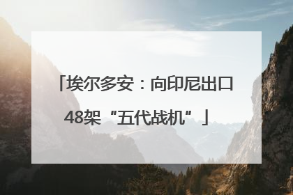 埃尔多安：向印尼出口48架“五代战机”