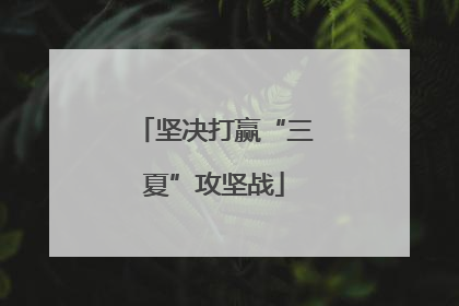 坚决打赢“三夏”攻坚战