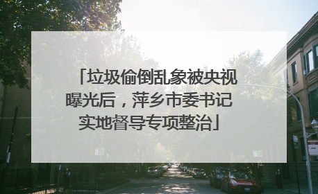 垃圾偷倒乱象被央视曝光后，萍乡市委书记实地督导专项整治