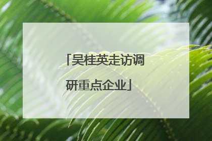 吴桂英走访调研重点企业