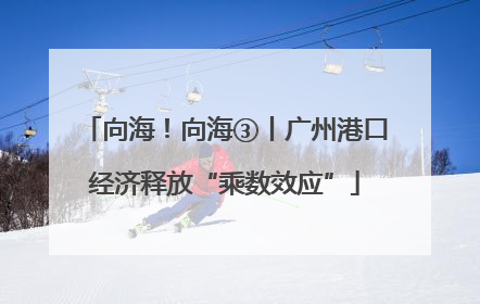 向海！向海③丨广州港口经济释放“乘数效应”