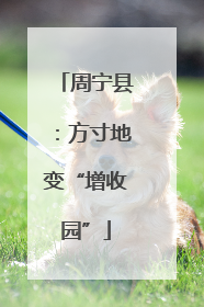 周宁县：方寸地变“增收园”