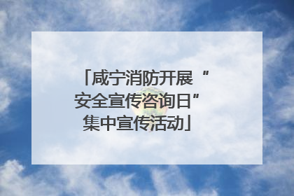 咸宁消防开展“安全宣传咨询日”集中宣传活动