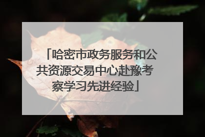 哈密市政务服务和公共资源交易中心赴豫考察学习先进经验