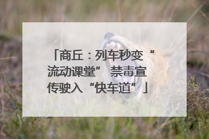 商丘：列车秒变“流动课堂” 禁毒宣传驶入“快车道”