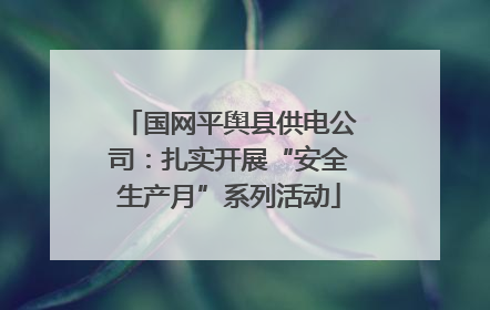 国网平舆县供电公司：扎实开展“安全生产月”系列活动