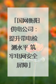 国网衡阳供电公司：提升带电检测水平 筑牢电网安全屏障