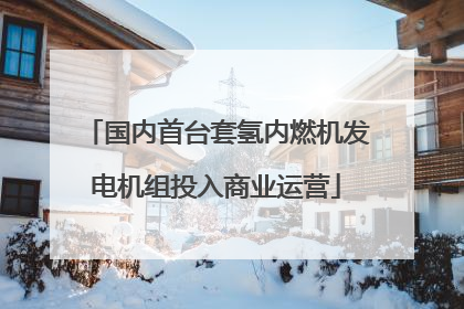 国内首台套氢内燃机发电机组投入商业运营