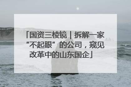 国资三棱镜｜拆解一家“不起眼”的公司，窥见改革中的山东国企
