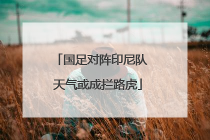 国足对阵印尼队 天气或成拦路虎