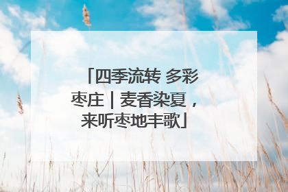 四季流转 多彩枣庄｜麦香染夏，来听枣地丰歌