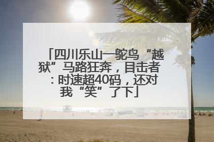 四川乐山一鸵鸟“越狱”马路狂奔，目击者：时速超40码，还对我“笑”了下