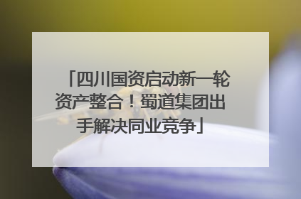 四川国资启动新一轮资产整合！蜀道集团出手解决同业竞争