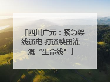 四川广元：紧急架线通电 打通秧田灌溉“生命线”