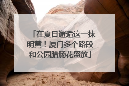 在夏日邂逅这一抹明黄！厦门多个路段和公园腊肠花盛放