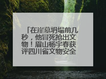 在崖墓坍塌前几秒，他冒死抢出文物！眉山杨宇春获评四川省文物安全守护者