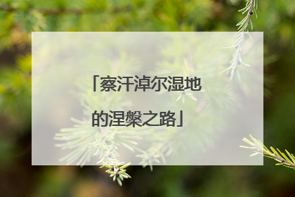 察汗淖尔湿地的涅槃之路