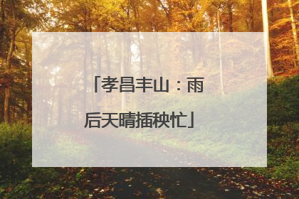 孝昌丰山：雨后天晴插秧忙