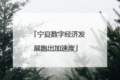 宁夏数字经济发展跑出加速度