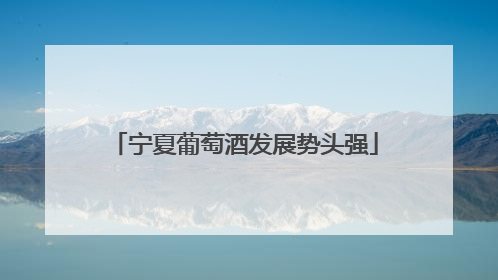 宁夏葡萄酒发展势头强