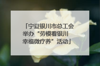 宁夏银川市总工会举办“劳模看银川 幸福微疗养”活动