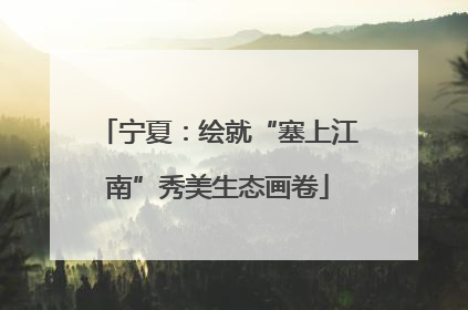宁夏：绘就“塞上江南”秀美生态画卷