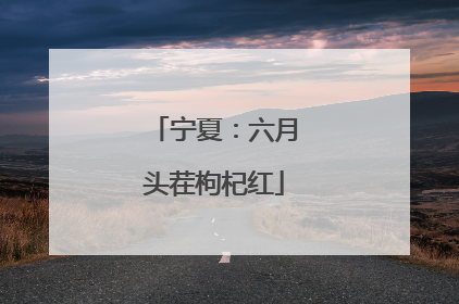 宁夏：六月头茬枸杞红