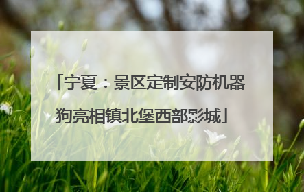 宁夏：景区定制安防机器狗亮相镇北堡西部影城