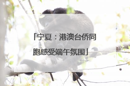 宁夏：港澳台侨同胞感受端午氛围